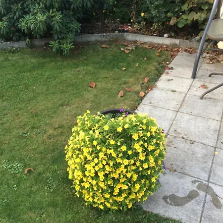 Julia 3* Offenhausen